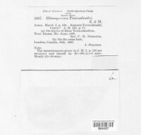Image Associated With the Occurence